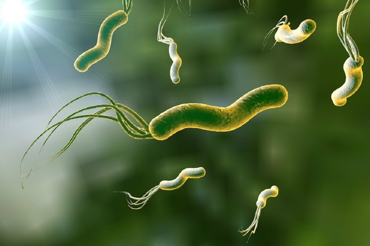 Чим небезпечний Helicobacter pylori?