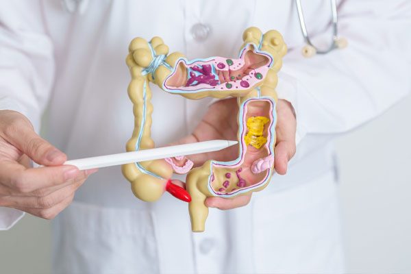 Комплексний проктологічний Check-up